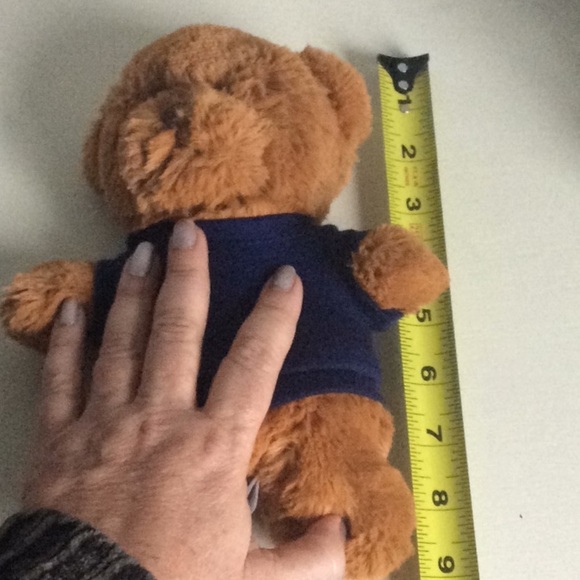 Brown Teddy Bear with Blue Tee Shirt/Steven Smith - Picture 6 of 7